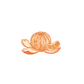 Mandarin Sticker