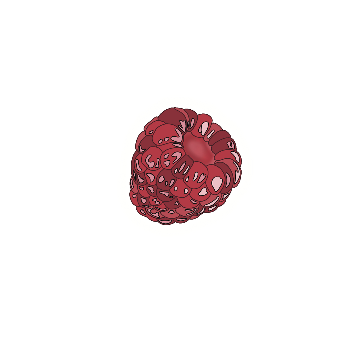 Raspberry Sticker